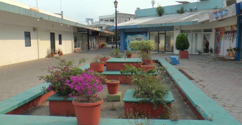 plaza palmas