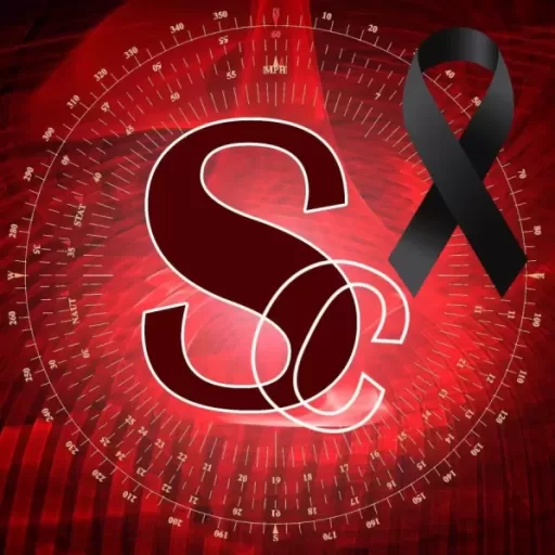 Avatar de Clínica de cirugía ambulatoria de Casandra de los Santos, diputada del Partido Verde, en la clandestinidad – Sentido Común