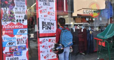 Crisis y Buen Fin Crisis y Buen Fin
