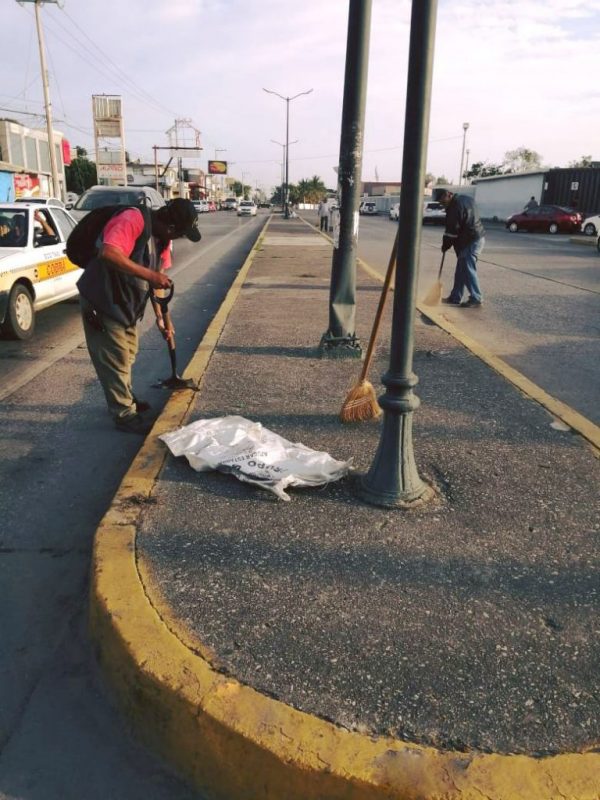 Intensifican en Madero la limpieza de avenidas y lagunas. – Sentido Común