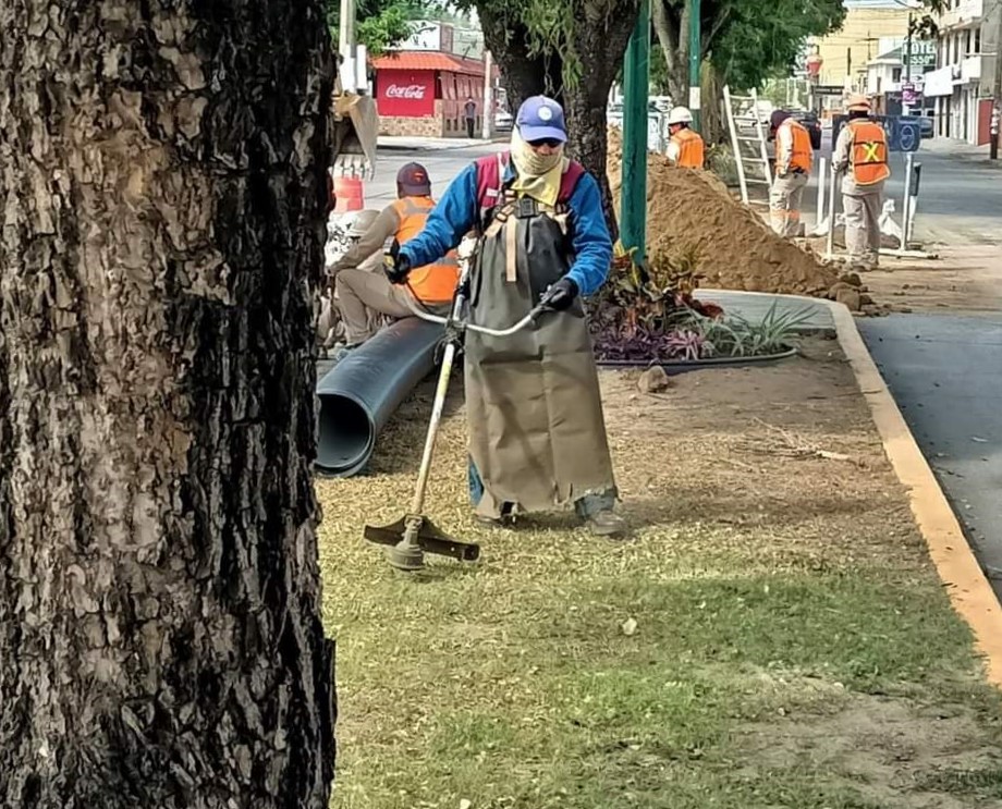 Continúan labores de limpieza en avenidas de Ciudad Madero – Sentido Común