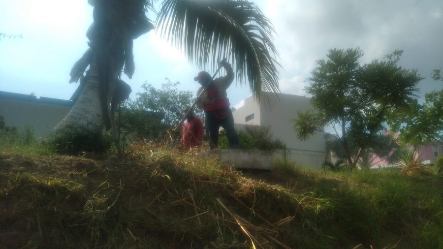 Trabajos permanentes de limpieza en canales de Ciudad Madero – Sentido ...